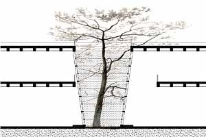 Arborização<br />Imagem dos autores do projeto 