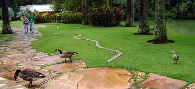 Escultura sem título de Tunga<br />Foto Denise Teixeira 
