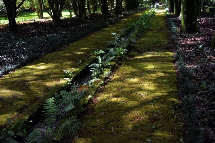 Urbanização do Banhado, modelo de canais em áreas planas (Fazenda São Carlos do Pinhal), São José dos Campos SP, 2019. Coordenadores Jeferson Tavares e Marcel Fantin / PExURB IAU USP<br />Foto dos autores 