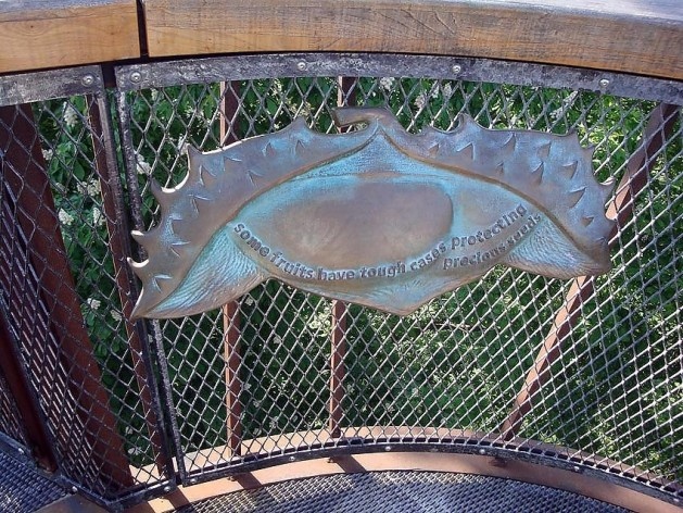 Kew Gardens, Xstrata Walkway Treetop, Londres<br />Foto Francine Sakata 