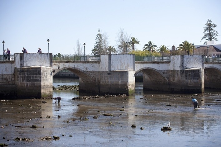 36. Ponte antiga sobre o Rio Gilão, Tavira<br />Foto Eduardo Costa  [Acervo: Arquivo Portugal: 2011-2012]