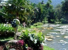 Ordem e natureza. A construção da paisagem do Jardim Botânico do Rio de Janeiro