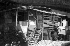 Mocambo e favela