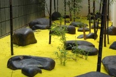 Estranhas paisagens