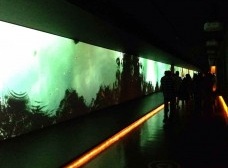 Exposições interativas