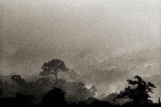 Por uma Arquitetura com “A” maiúsculo