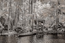 As fotografias amazônicas de Antonio Saggese