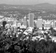 Curitiba e Portland: ingredientes comuns, resultados distintos