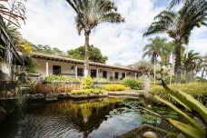 A generosidade de Roberto Burle Marx