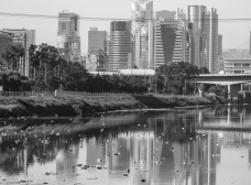 Questões estruturais da cidade