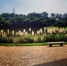 A incorporação da pauta ambiental na produção dos parques públicos municipais de São Paulo