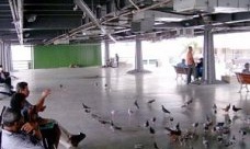 Notas sobre a polêmica da Prefeitura de Salvador