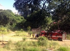 Parque Augusta e o sentido do público