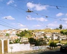 Meio Ambiente : Guarulhos e Macaé, ou Infraero e Petrobrás?