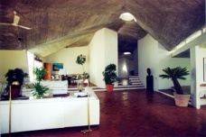Arquitetura exemplar em casas de praia