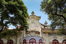 Os neos do Brasil