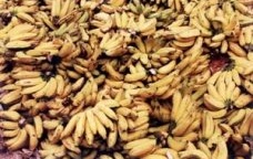 Achados tempos perdidos. Feira da Prata em Campina Grande, Paraíba