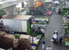 Vila Leopoldina e Ceagesp: urb”animosidades”