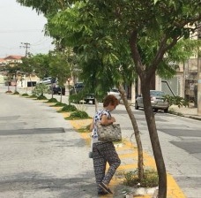 Afastar pedras do caminho e plantar árvores no asfalto