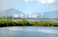 A indústria do medo e a vida na cidade