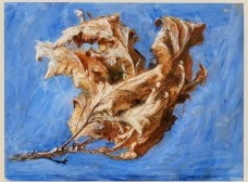 À luz de John Ruskin