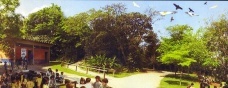 Arte e paisagem: uma união instável e sempre renovada