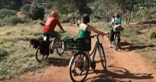 Bicicarreto