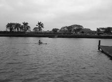 29d7_516-01.jpg