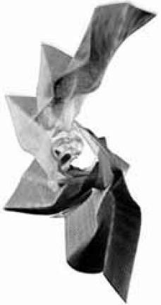 3d45_93.jpg