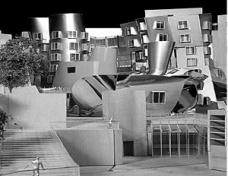 4d7f_414-17.jpg