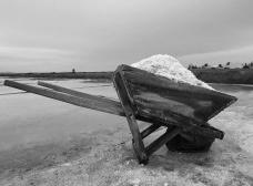 5eafe049515c_carina01_salinas.jpg