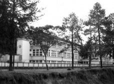 701b_mc281-01.jpg