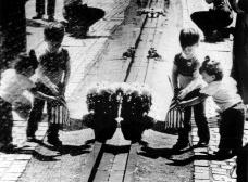 7e1fc0b1fa8b_memorial_do_vietna_washington_capa.jpg
