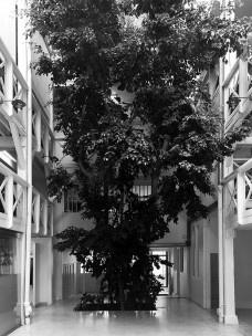92cc370a2ecb_architecturestudio02.jpg
