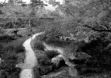 a52cad46eb31_jardimjapones02_takahashi.jpg