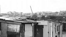 c68bd62844cb_fotovarjaobrasilia_01.jpg
