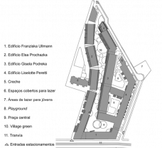 faff3a45a759_carvalho_genero01.png