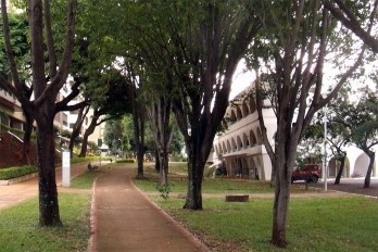 Das coisas que só acontecem comigo