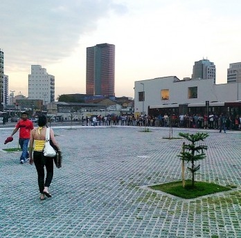 Araucárias em Pinheiros