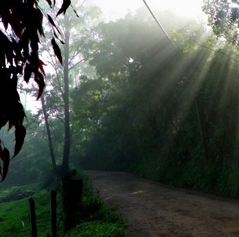 O paraíso escondido em cada um de nós