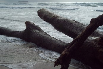 Após a tempestade