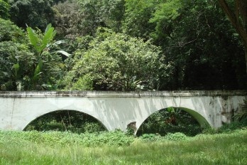Detalhes do Jardim Botânico do Rio
