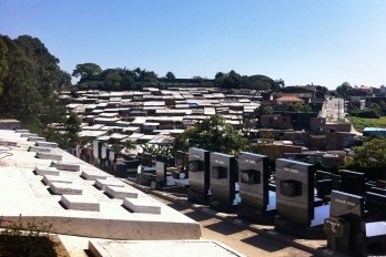 Vida e morte em um cemitério israelita