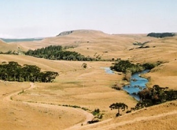 Arquiteturas da natureza