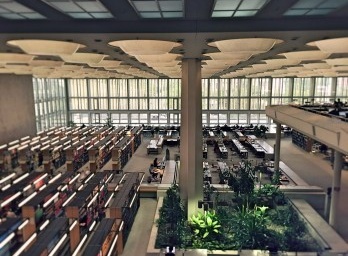 Em busca de Hans Scharoun