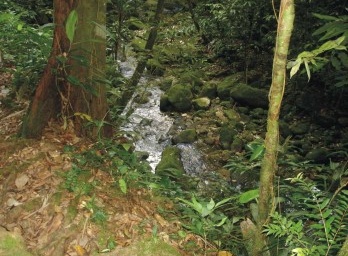Vila de Itatinga