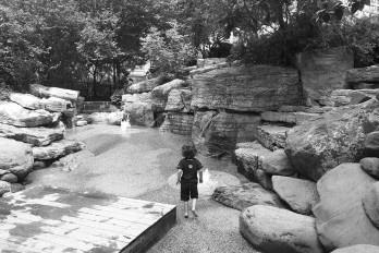 Teardrop: um parque de bairro