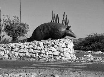 Destino: Serra da Capivara!