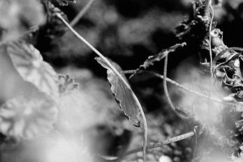 Mostra "Ao vento", de Adriana Rosset