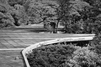 Marquise do Ibirapuera, um projeto de Oscar Niemeyer e equipe Extrato de “Viver na Floresta”